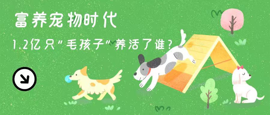 富养宠物时代数据新闻作品封面
