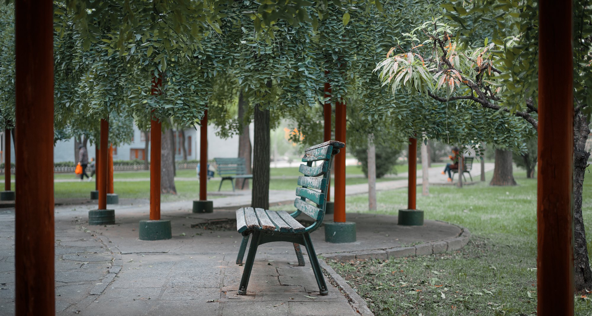 梁妍摄影作品 027